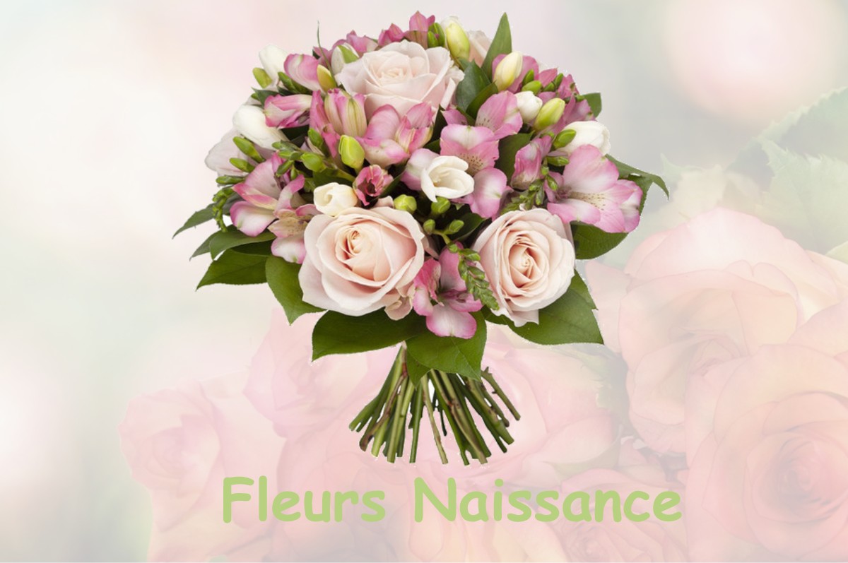 fleurs naissance TIGNIEU-JAMEYZIEU