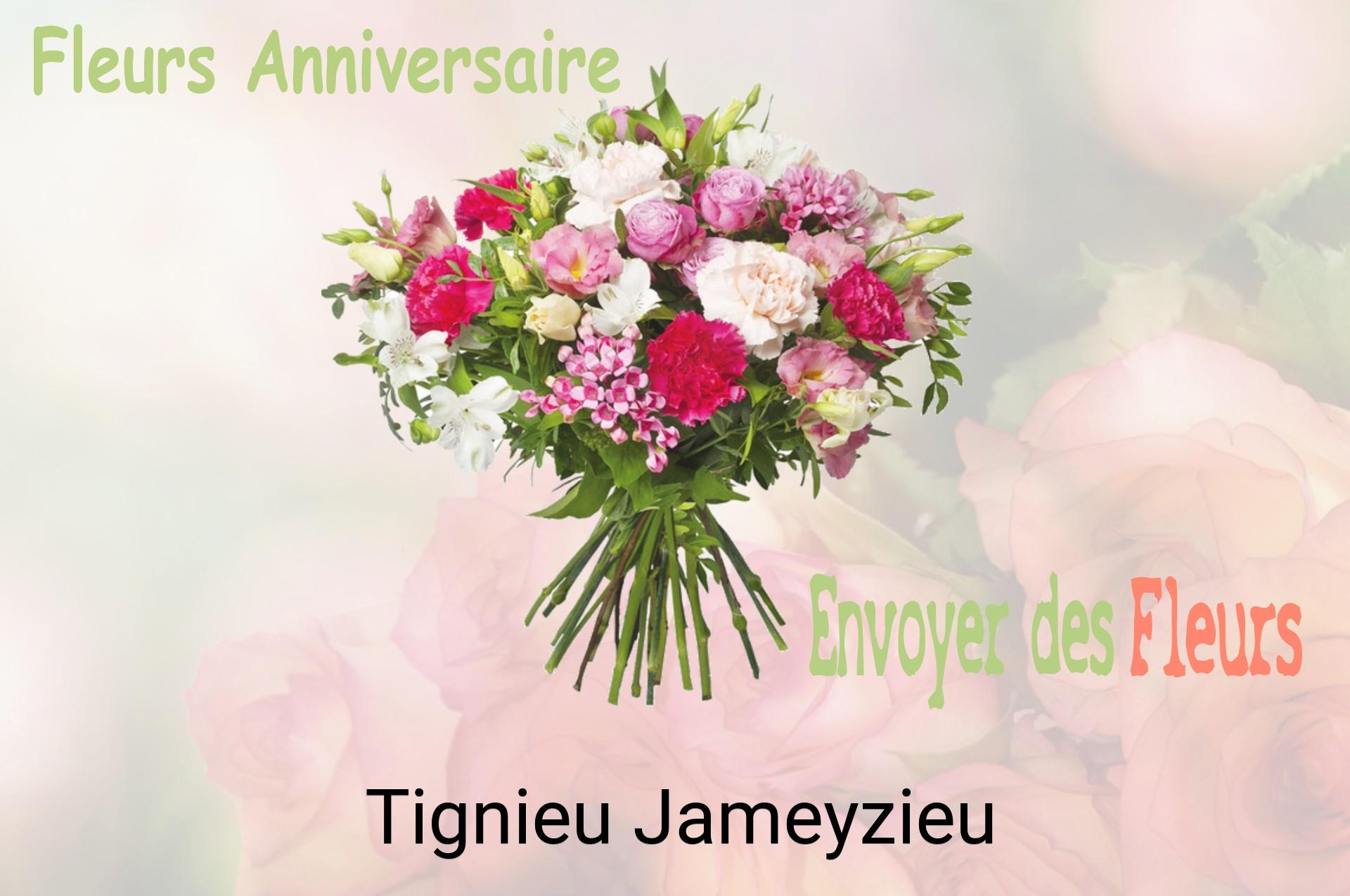Bouquet de fleurs d’anniversaire livré à Tignieu-Jameyzieu