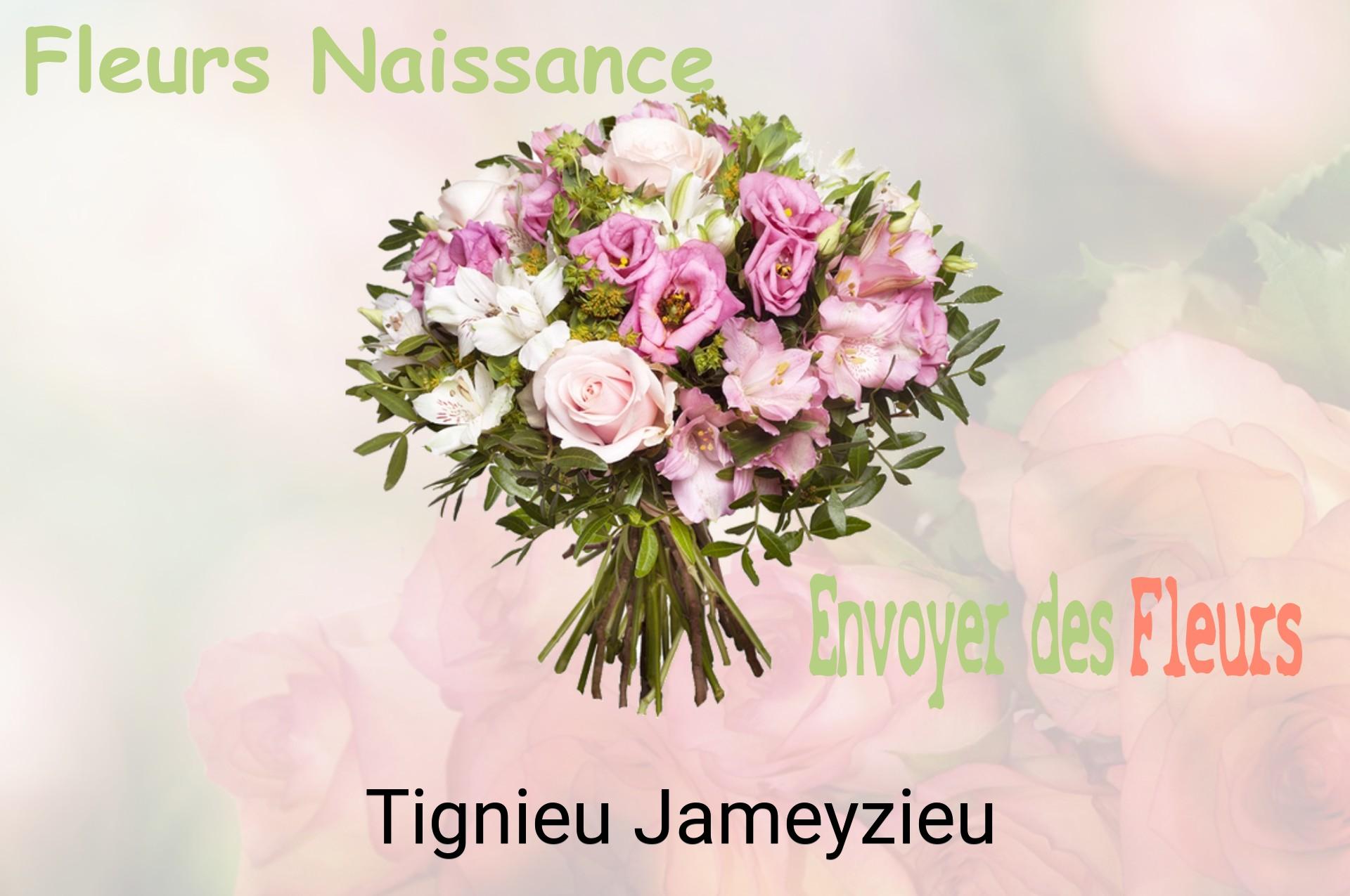 Bouquet de fleurs de naissance livré à Tignieu-Jameyzieu