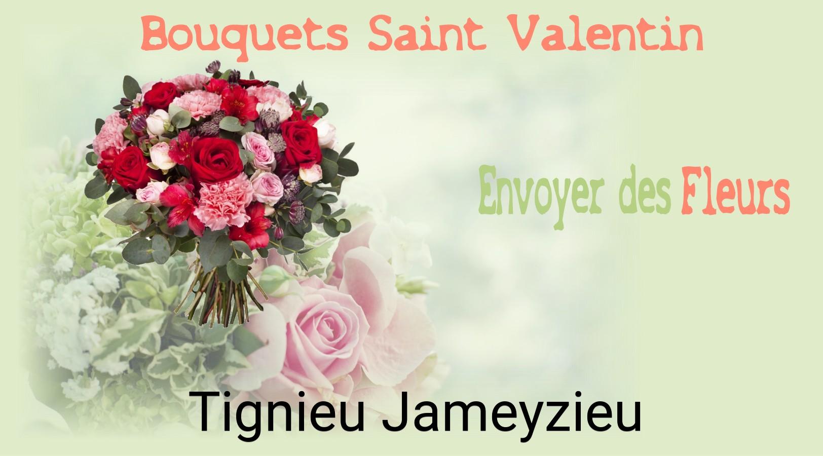 Roses de Saint-Valentin livrées à Tignieu-Jameyzieu