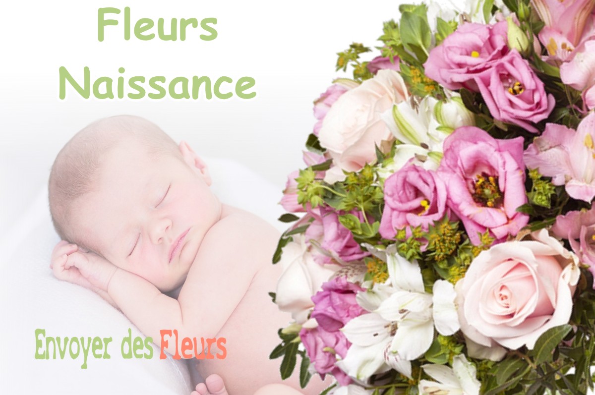 lIVRAISON FLEURS NAISSANCE à TIGNIEU-JAMEYZIEU