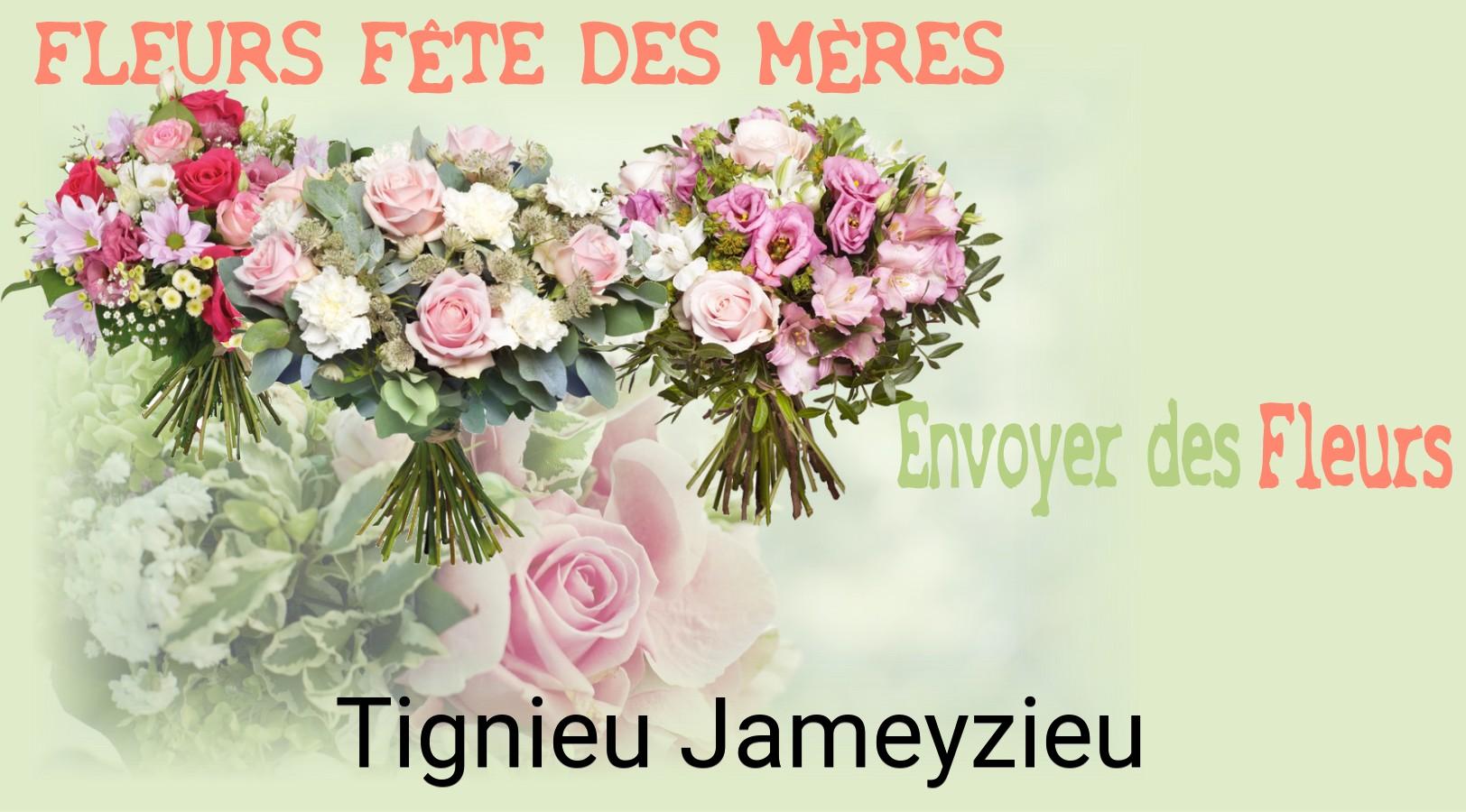 Bouquet de Fête des Mères livré à Tignieu-Jameyzieu